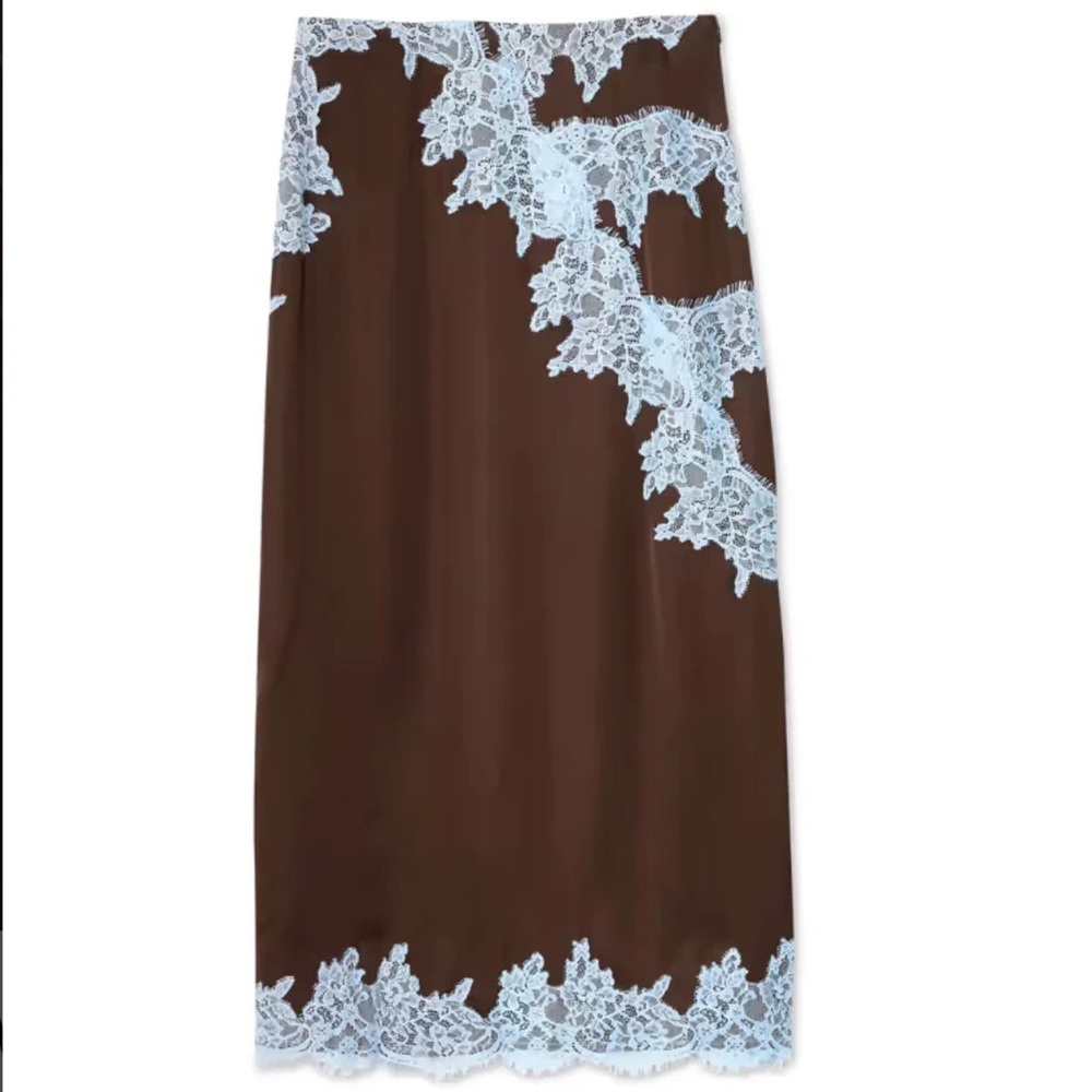 Elegant never been worn lace slip skirt . The waist is 28 inches